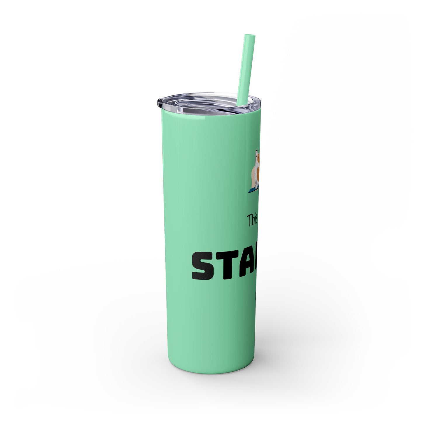 This is not a STANLEY Cup - Skinny Tumbler with Straw, 20oz