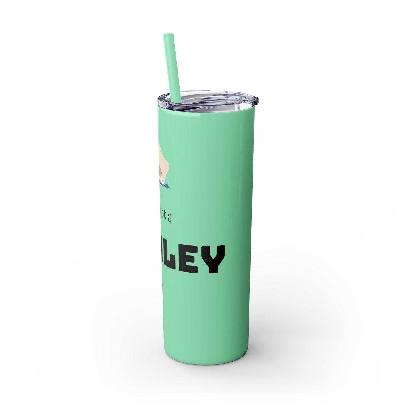 This is not a STANLEY Cup - Skinny Tumbler with Straw, 20oz
