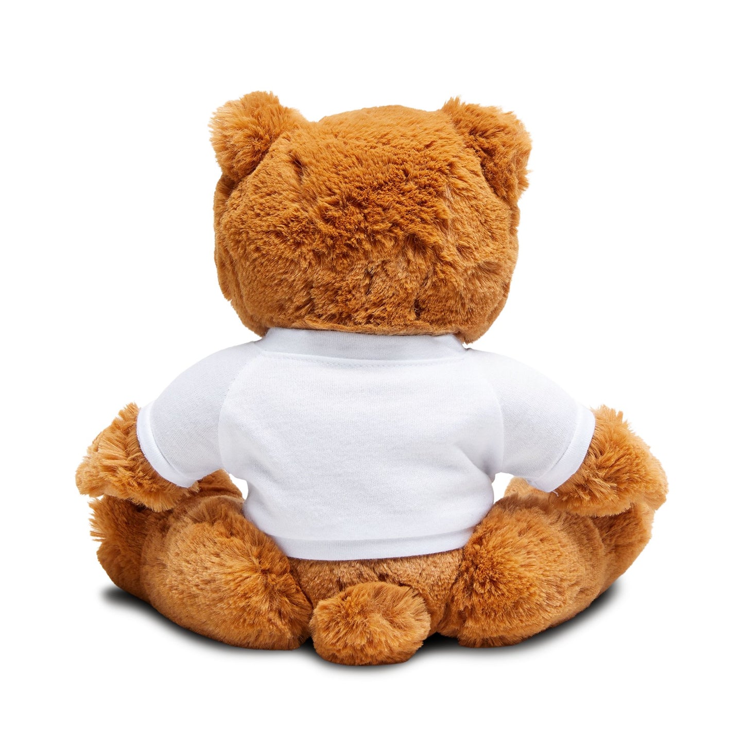 Full Sail Partners Logo Teddy Bear with T-Shirt