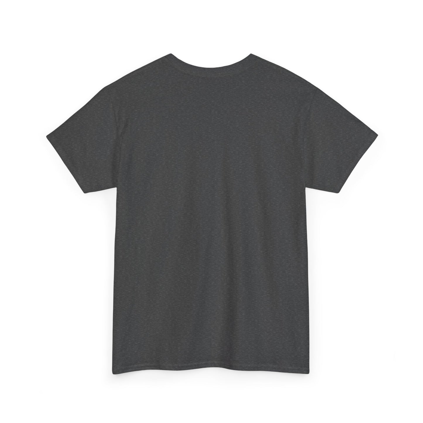 Full Sail Partners logo (red, black, dark heather, charcoal) - Unisex Heavy Cotton Tee