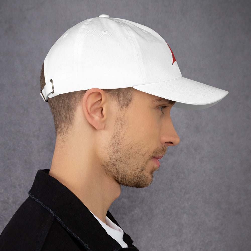 Full Sail Partners Ball Hat (black, white, grey)